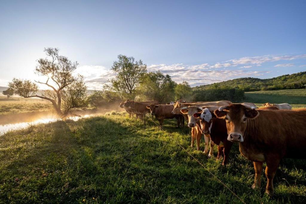 Ranc Crna Stina Hébergement de vacances Livno