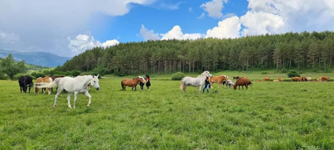 Holiday home Ranc Crna Stina Livno