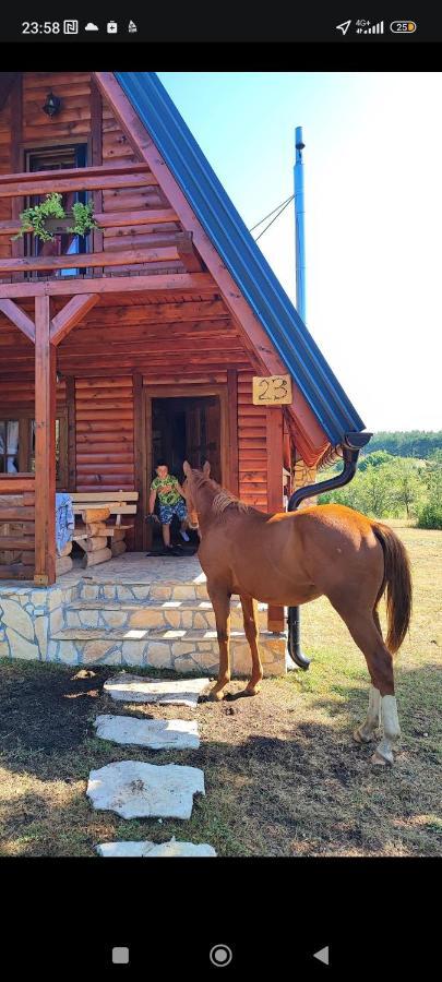 Ranc Crna Stina Holiday home