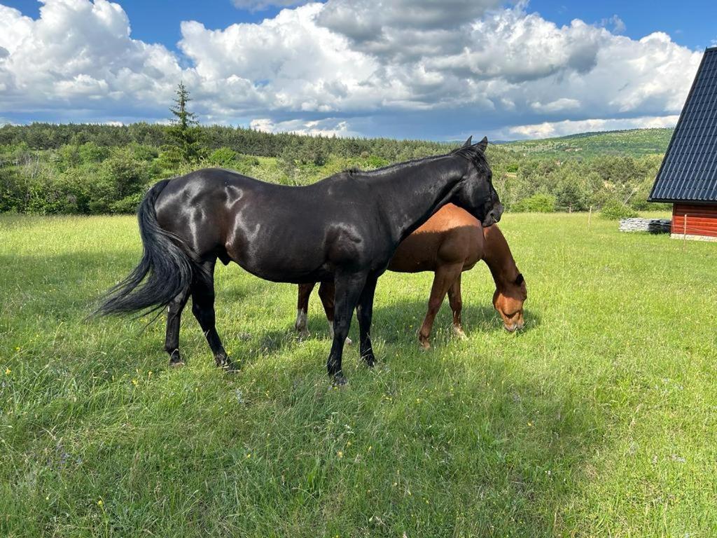 Ranc Crna Stina Livno