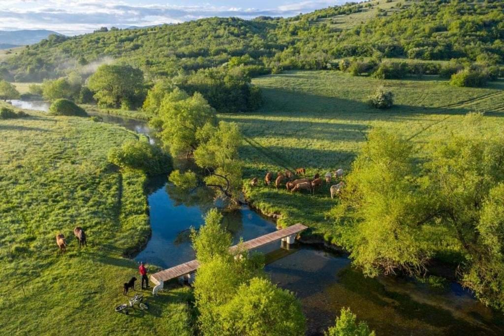 Ranc Crna Stina Holiday home