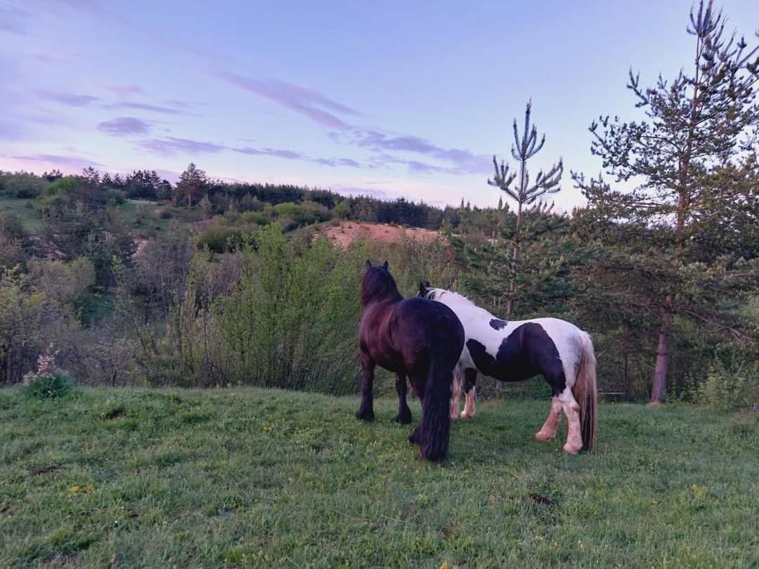 Hébergement de vacances Ranc Crna Stina